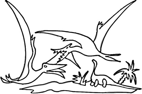 Fight Of Pterodactyls  Coloring Page